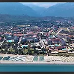 Camyuva